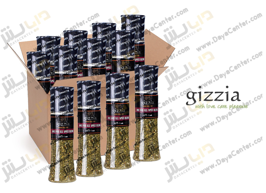 ادویه همه کاره گیزیا کارتن 24 عددی