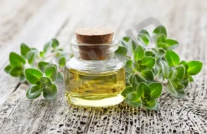 درباره این مقاله بیشتر بخوانید روغن اورگانو چیست و چه فوایدی دارد؟