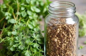 درباره این مقاله بیشتر بخوانید چگونه اورگانو تازه و خشک را در خانه نگهداری کنیم؟